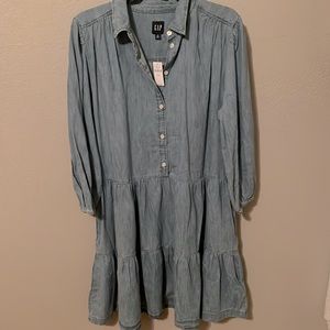 Gap Chambray Ruffle Dress